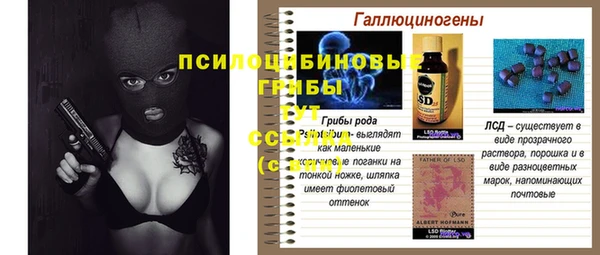 ГАЛЛЮЦИНОГЕННЫЕ ГРИБЫ Магадан