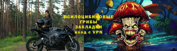 ГАЛЛЮЦИНОГЕННЫЕ ГРИБЫ Магадан
