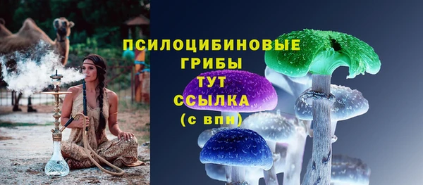 mdpv Магас