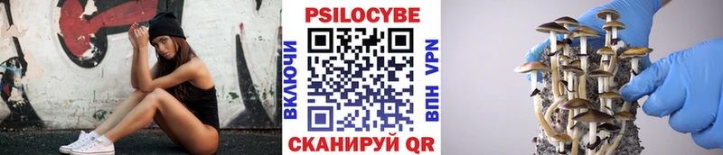 где купить наркоту  Щигры  Псилоцибиновые грибы мицелий 